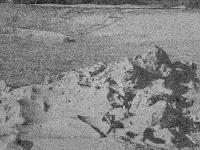 From the series "Whiteout" | DER GREIF