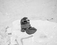 From the series "Why does the moon follow us everywhere we go?" | DER GREIF