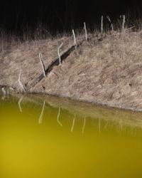 From the series "flux", Geamana, Alba region, Romania, 2025 | DER GREIF