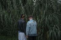 DER GREIF