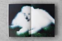 Der Greif Studio Custom Art Collections for Interiors | DER GREIF