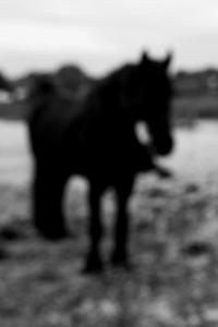 From the series "Beyond Fragments" | DER GREIF