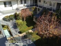 From the series "Craiglist" | DER GREIF