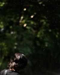 From recent walks | DER GREIF