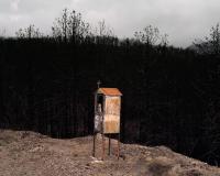 Massimiliano Corteselli, Contrapasso | DER GREIF