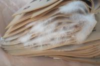 On Emergence | DER GREIF