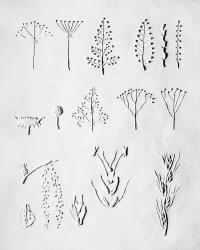 Marion Belanger, (Untitled) Teaching Material for the Blind (Perkins School for the Blind Archives), Watertown, MA, USA, 2021 | DER GREIF