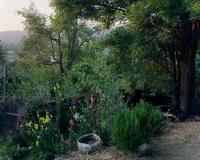 "Garden at Dusk" | DER GREIF