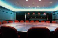 From the series "The Elephant's Foot" | DER GREIF