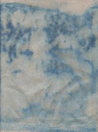 As Wild as Witnessed (Fold), Cyanotype Print on Handmade Pine Paper | DER GREIF
