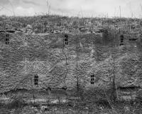 Untitled | DER GREIF