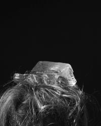 Untitled | DER GREIF