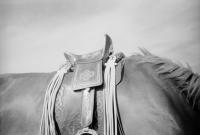 Jia Wang, Jia Wang, "Echoes of Harmony: Preserving Culture and Nature in Inner Mongolia," Inner Mongolia, China, 2023. | DER GREIF