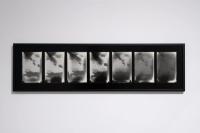 From the series "Metanoia" | DER GREIF
