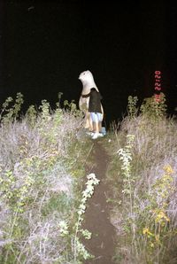 Ruben Accou | DER GREIF