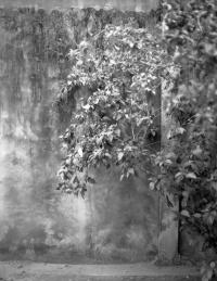 From the series "I’ve Never Seen My Father Cry" | DER GREIF