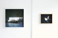 Installation view, Lauren Kaigg, "Glimmer" from the series Tempus Edax Rerum, 2020 / Laurie Broughton, "Rhy‘s Favourite Pigeon", 2025 © Mohamed Hassan | DER GREIF