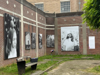 Installation view of “The Clear Image of Paradise” by Judit Gyuricza-Osváth | DER GREIF
