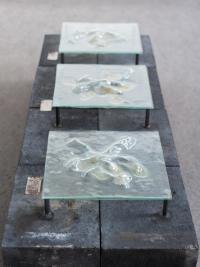 Recycled Greenhouse Glass, Microorganisms, Cyanotype Emulsion, Nutrient Agar, Steel | DER GREIF