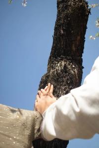 Zainab, from the series "Hazaron Khwahishein Aisi" | DER GREIF