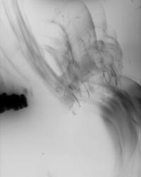 From the series "Church of Fun" | DER GREIF