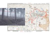 From the series "Points of Impasse" | DER GREIF