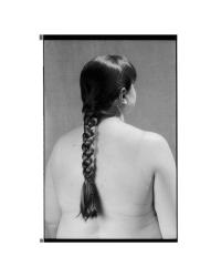 DER GREIF