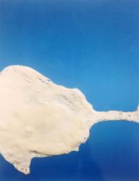Naomi Livia, "Egg White IV" from "Fried Egg Portraits" | DER GREIF