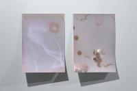 Walk-Through, Installation View (Documentation Image: Lithuanian Photographers Association) | DER GREIF