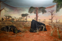 Kia Henda Kiluanji's image in "Violent Images" edited by Eva Leitolf and Giulia Cordin | DER GREIF