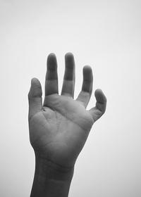 DER GREIF