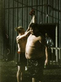 "Winner", from "American Beef" | DER GREIF