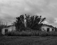 Untitled | DER GREIF