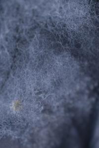 Entangled | DER GREIF