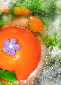 Slav Gaze | DER GREIF