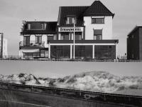 From the series "How to disappear", Den Haag, The Netherlands, 2024 | DER GREIF