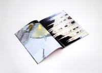 "Una storia italiana" photobook. Published by Skinnerboox | DER GREIF