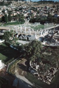 From the series "Calmistery" | DER GREIF