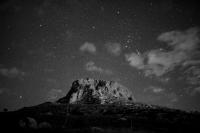 "The Root" from "Sēcrētus" | DER GREIF