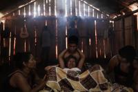 From the series "Forest Ruins", São Paulo, Brazil, 2025 | DER GREIF