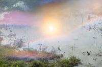 Charlotte Wiig, From "Synasthesia", Oslo, Norway, 2025 | DER GREIF