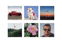 Generated categories of images | DER GREIF