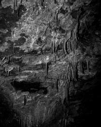 Untitled | DER GREIF