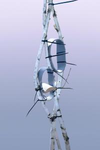 © Elena Subach | DER GREIF