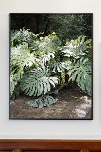 Installation view, Greta Valente "Come un fiore senza terra", 2023. © Pietra Studio | DER GREIF