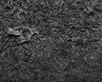 It’s Darkest Before The Dawn | DER GREIF