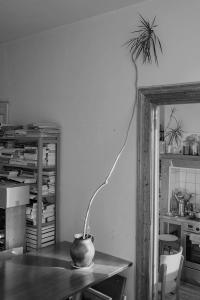 from the series "Helmersstraat" | DER GREIF