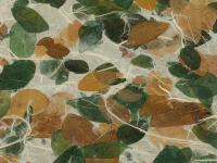 Dummy Book | DER GREIF