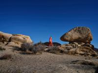 "Perspicacious" from the series “syzygy, the vision” | DER GREIF