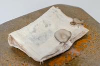 From the series "In a Pupa" | DER GREIF